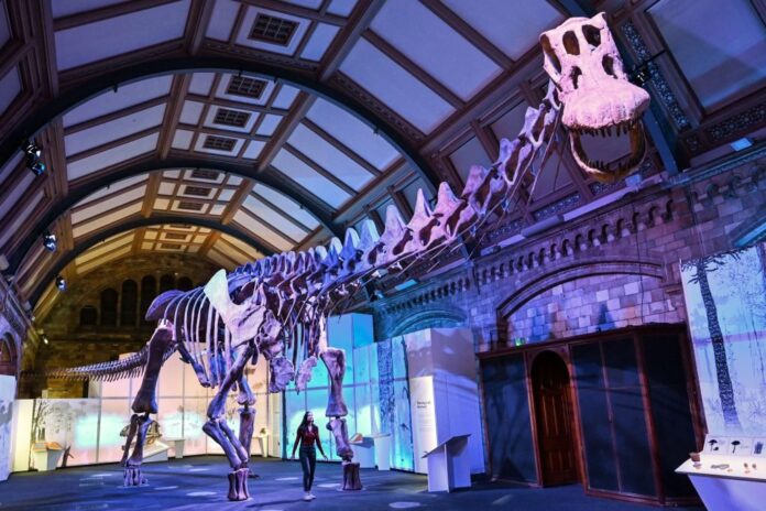 Patagotitan-mayorum-size.jpg